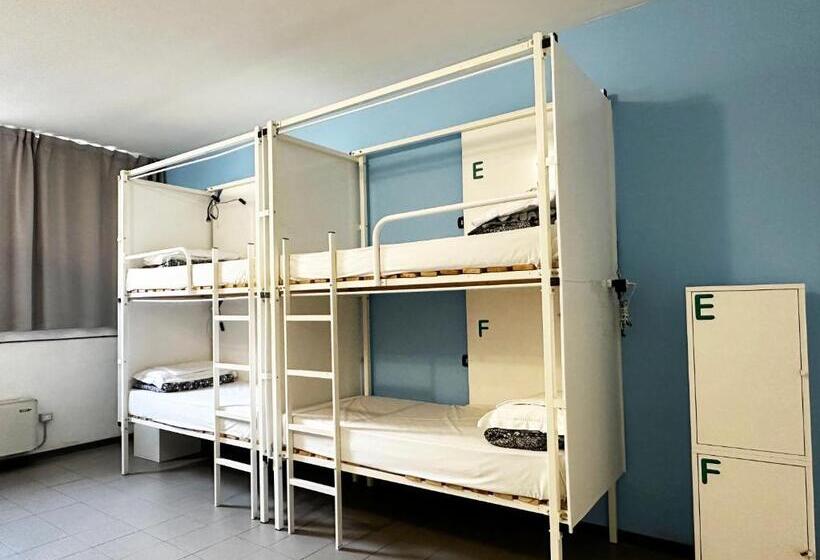 Bed in Shared Room with Shared Bathroom, Mio Hostel