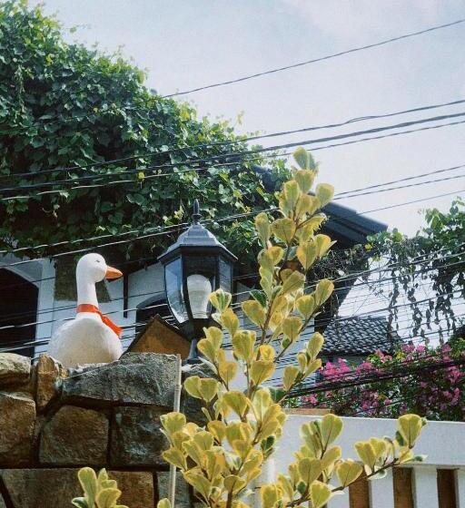 استودیوی استاندارد, Chái Nho Homestay