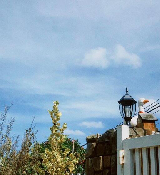 اتاق اکونومی یک تخته, Chái Nho Homestay