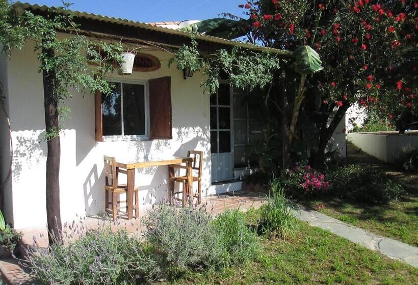 Студио Стандарт Вид на Сад, B&b Casa Hernández