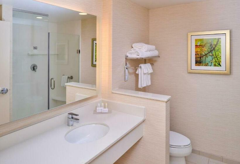 带大床的套房, Fairfield Inn & Suites By Marriott Plymouth White Mountains