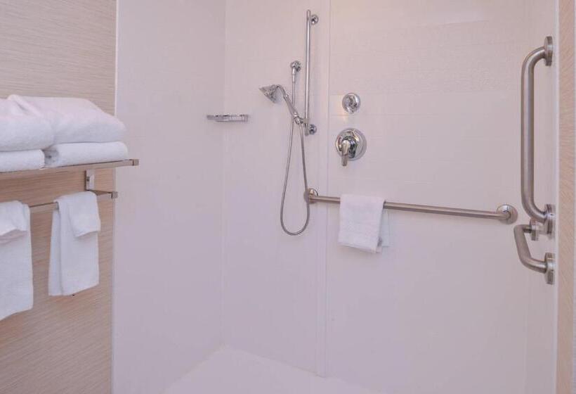 带大床的套房, Fairfield Inn & Suites By Marriott Plymouth White Mountains