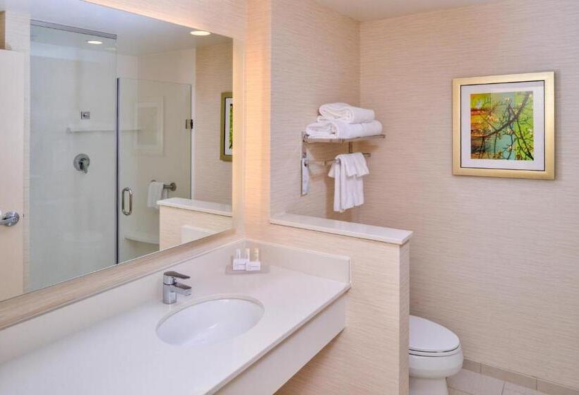 带大床的套房, Fairfield Inn & Suites By Marriott Plymouth White Mountains