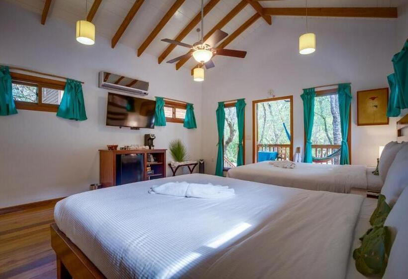 Бунгало Deluxe, Mariposa Belize Beach Resort