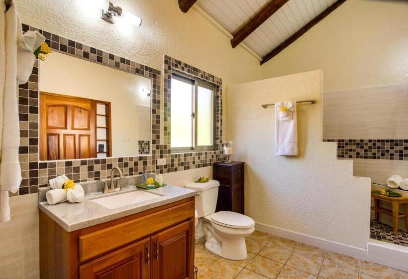 Люкс Кровать Кинг, Mariposa Belize Beach Resort