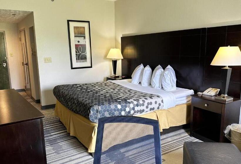 스탠다드 룸 킹사이즈 침대, Super Inn & Suites Philadelphia