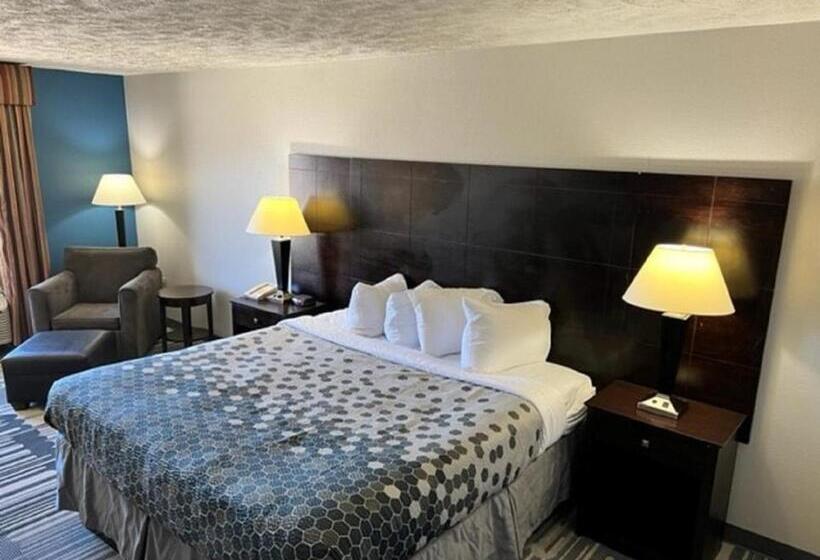 스탠다드 룸 킹사이즈 침대, Super Inn & Suites Philadelphia