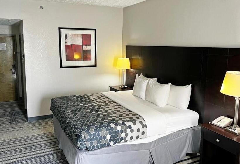 장애인을 위한 킹사이즈 침대 스탠다드 룸, Super Inn & Suites Philadelphia