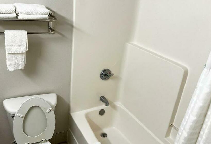 스탠다드 룸 킹사이즈 침대, Super Inn & Suites Philadelphia