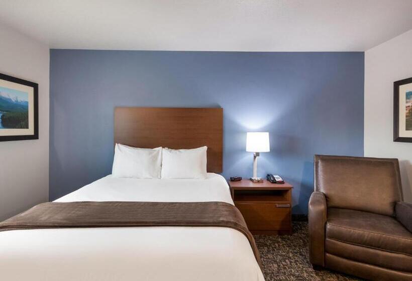 장애인을 위한 스탠다드 룸, My Place Hotel Loveland, Co