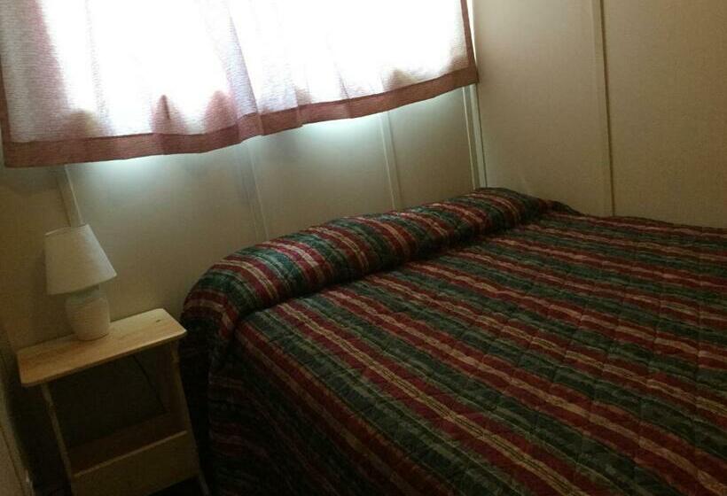 豪华套房, Cedars Motel