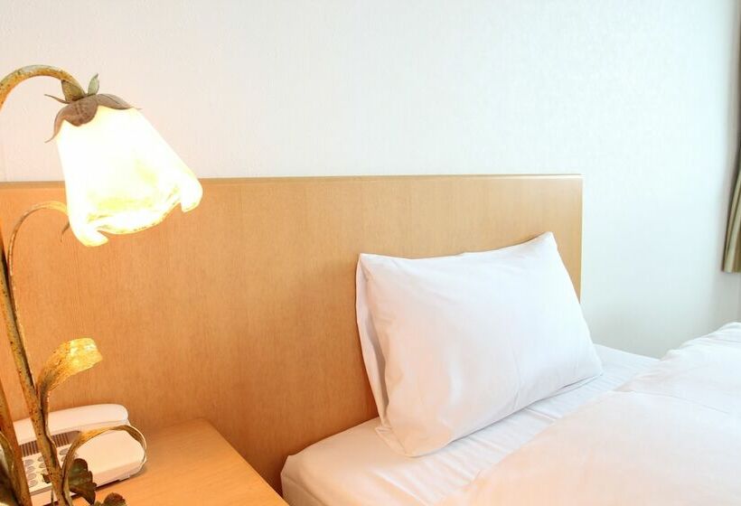 Номер Deluxe, Hikone Biwako