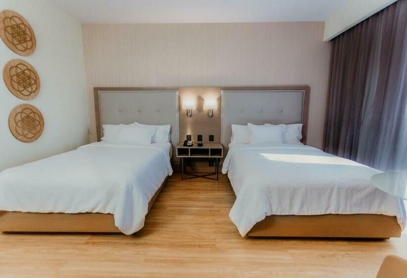 ２ダブルベッドのスタンダードルーム, Hilton Garden Inn Silao Aeropuerto Bajio
