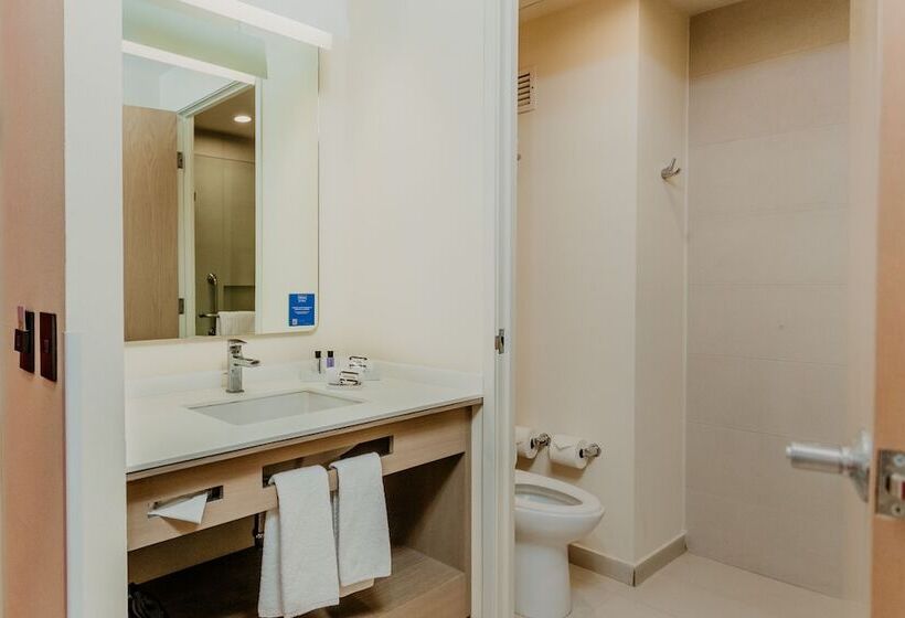２ダブルベッドのスタンダードルーム, Hilton Garden Inn Silao Aeropuerto Bajio