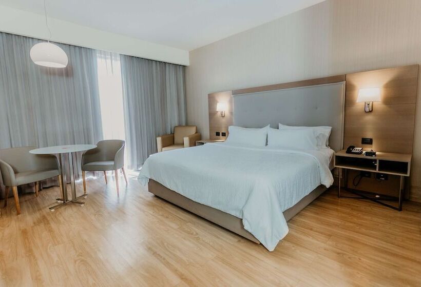 ダブルベッドスタンダードルーム, Hilton Garden Inn Silao Aeropuerto Bajio