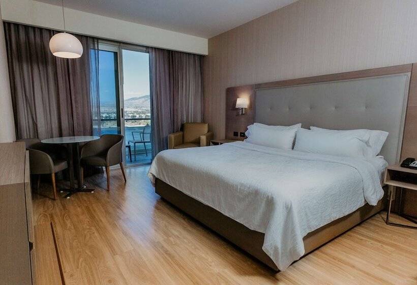 ダブルベッドスタンダードルーム, Hilton Garden Inn Silao Aeropuerto Bajio
