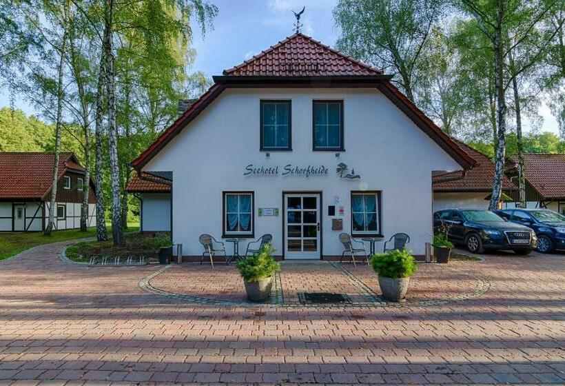 Номер Стандарт Индивидуальный, Seehotel Schorfheide