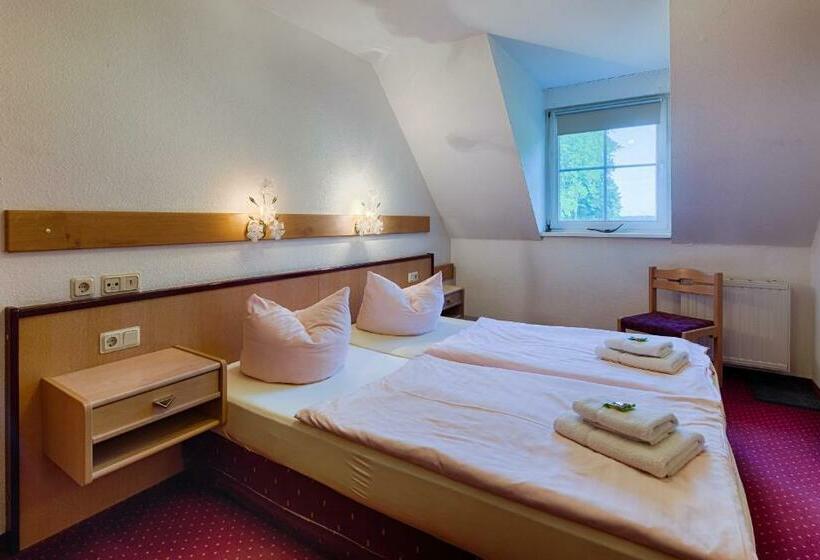 Номер Стандарт Вид на Озеро, Seehotel Schorfheide