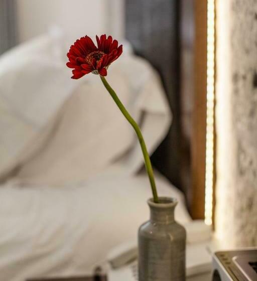 اتاق سوپریور, La Plaza Arequipa Hotel Boutique