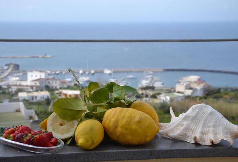 Tengerre Néző Deluxe Szoba Erkéllyel, Terra Murata Boutique B&b