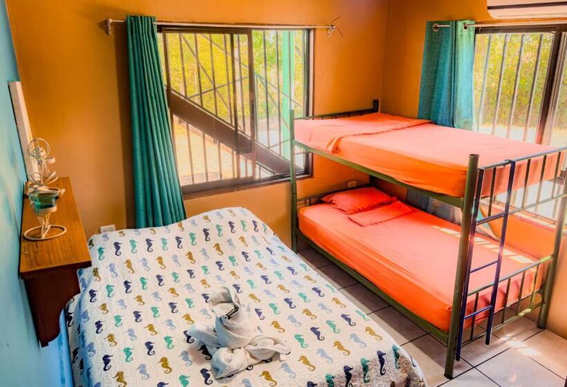 Апартаменты 1 Спальня Вид на Море, Pura Natura Lodge Manuel Antonio