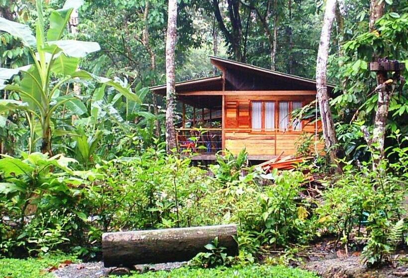 家庭间, El Tucan Jungle Lodge
