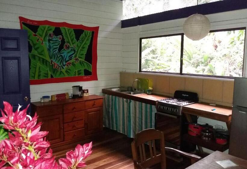 2间卧室的房子, El Tucan Jungle Lodge