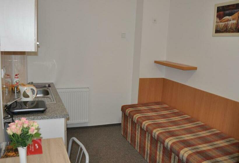 标准单人间, Hostel Děčín