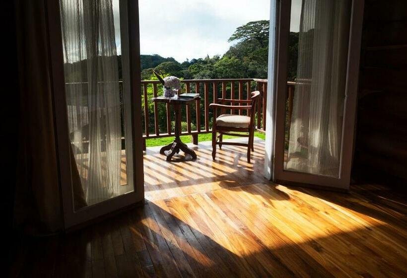اتاق استاندارد در طبقه همکف, Bosque Verde Lodge