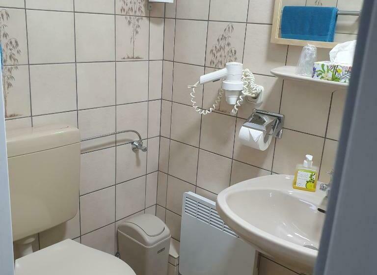 غرفة قياسية فردية, Kurparkhotel Gemünd