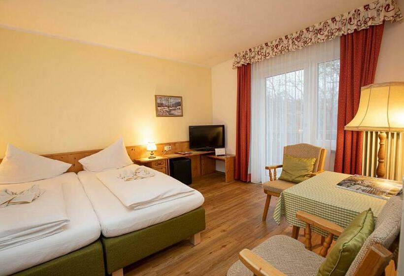 Номер Стандарт с Балконом, Landhotel Agathawirt