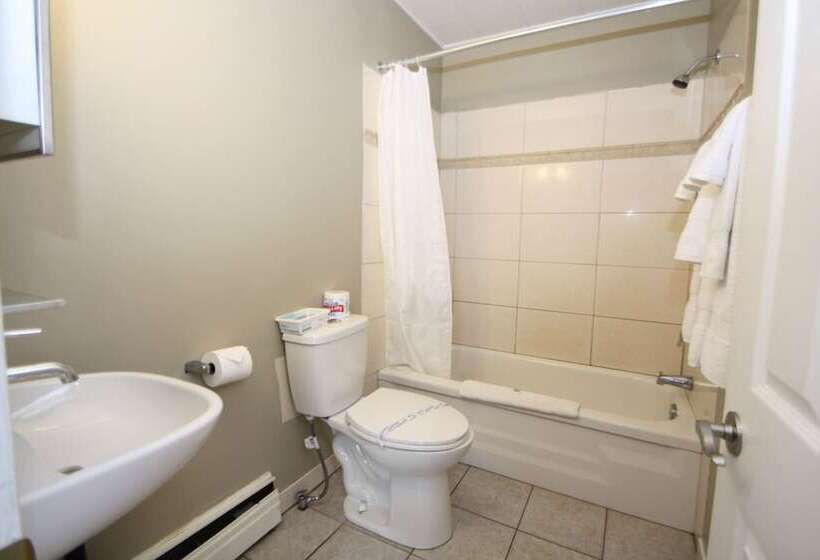 חדר סטנדרט מיטה זוגית, Harrison Spa Motel