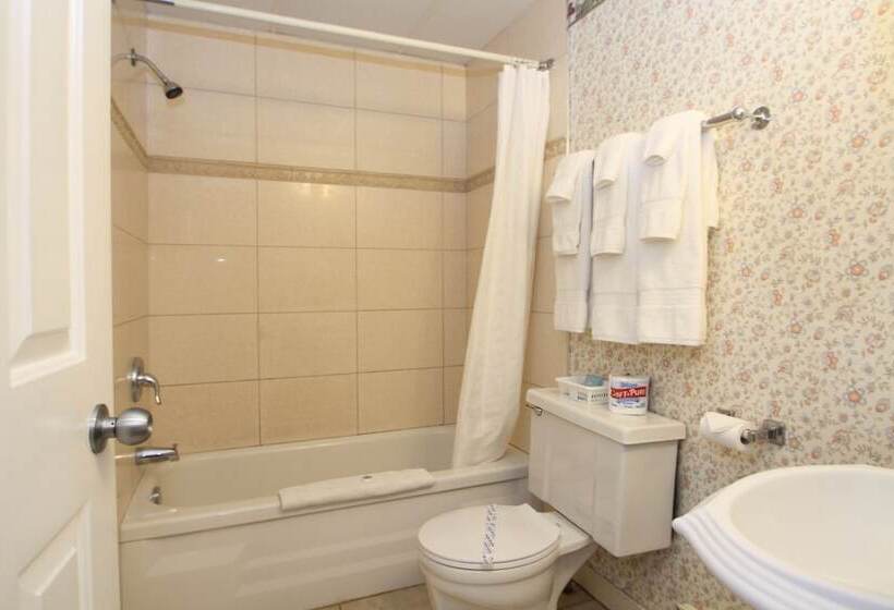 חדר סטנדרט מיטה זוגית, Harrison Spa Motel