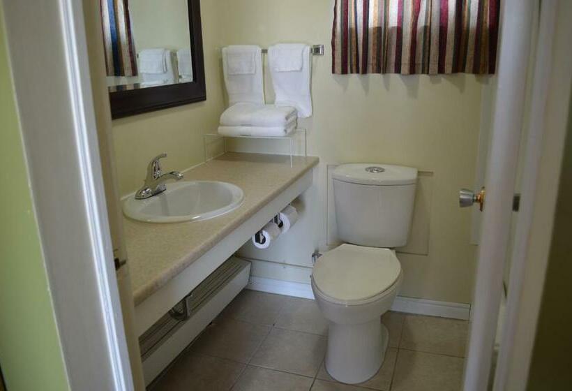 Номер Стандарт 2 Двуспальные Кровати, Lincoln Motel