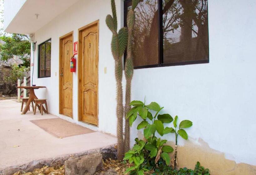 Quarto standard, Hostal Suiza