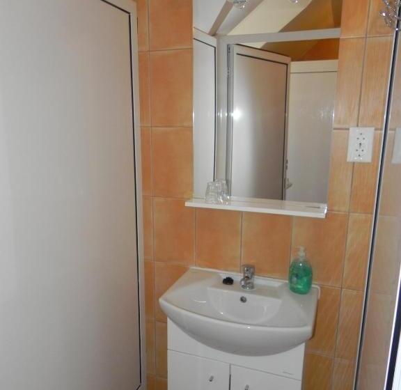 Номер Economy с общей ванной комнатой, Csipkeszeg Bed & Breakfast Sic / Szék Romania