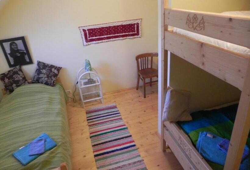 Семейный Номер Совместный Санузел, Csipkeszeg Bed & Breakfast Sic / Szék Romania