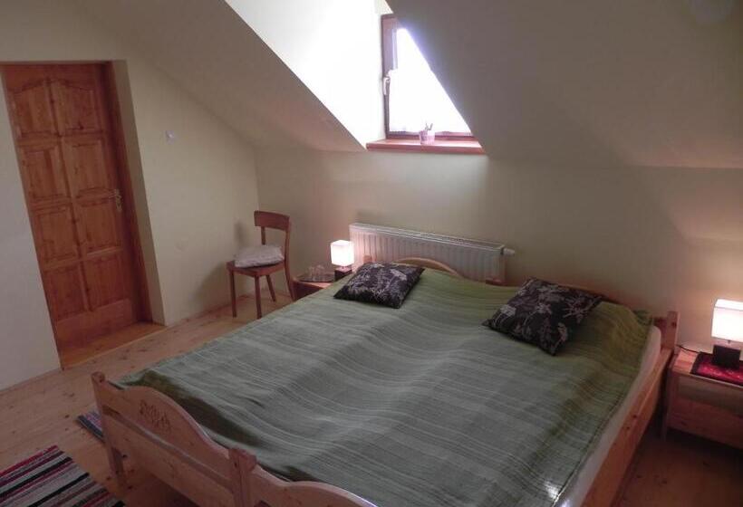 Номер Стандарт, Csipkeszeg Bed & Breakfast Sic / Szék Romania