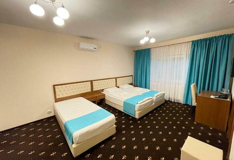 اتاق استاندارد سه نفره, Hostel Paltinis