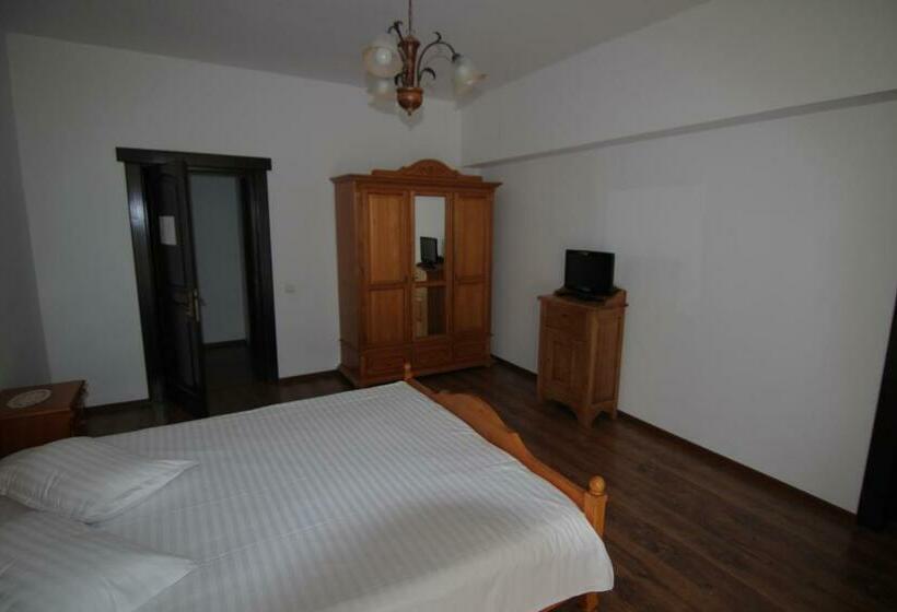 اتاق استاندارد, Vila Carpathia