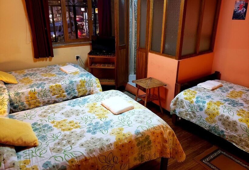 Quarto Triplo Estandar, La Nuit Home