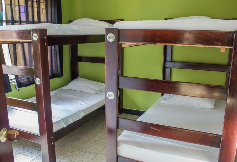 Кровать в Общей Комнате, Hostel Nirvana San Gil