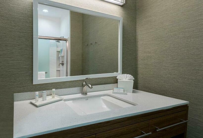 Deluxe Suite King Bed, Home2 Suites By Hilton Austin Airport