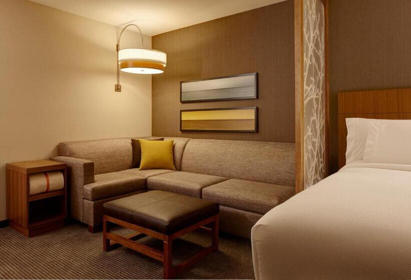 高级寓所标准房间, Hyatt Place Madison/verona