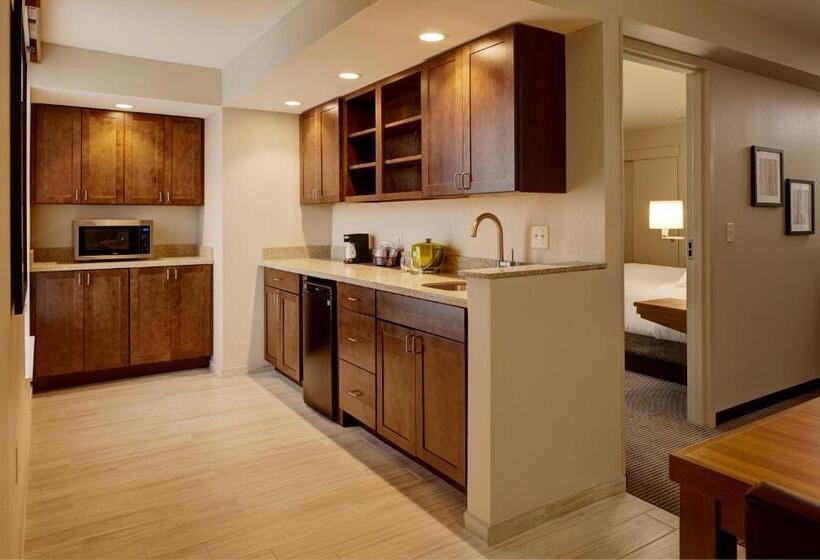 带大床的套房, Hyatt Place Madison/verona