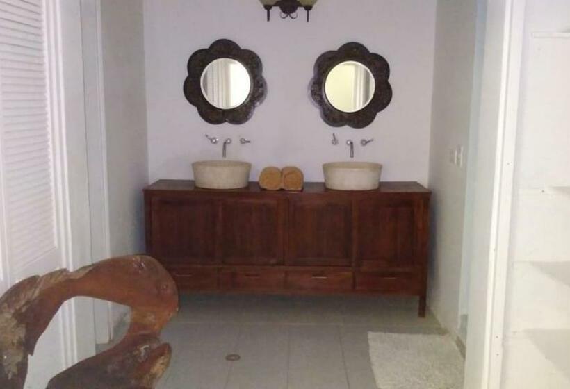 带大床的豪华间, Playa Tranquilo B&b And Dive Shop