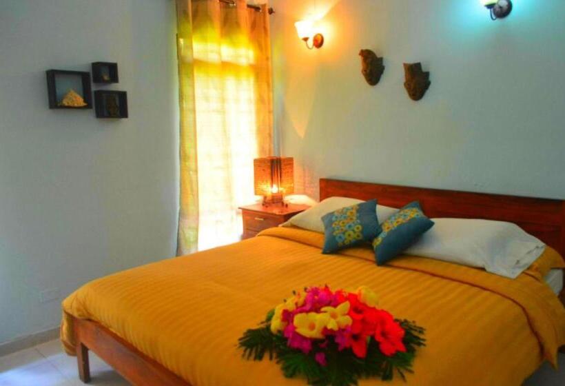 带大床的豪华间, Playa Tranquilo B&b And Dive Shop