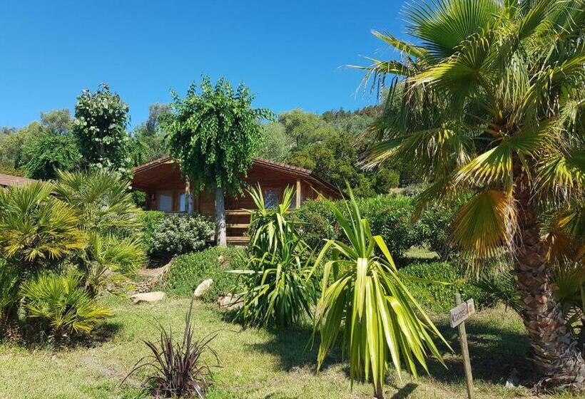 غرفة سوبيريور ثلاثية, Mare E Monti