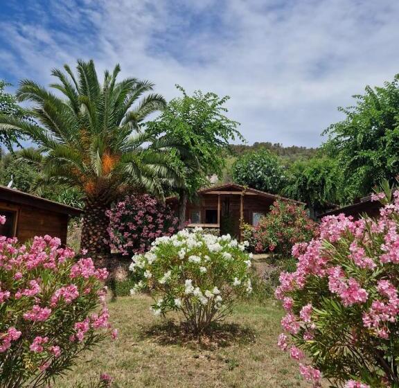 غرفة سوبيريور ثلاثية, Mare E Monti