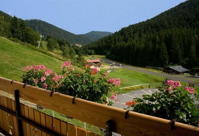 Номер Стандарт, Hôtel Le Vétiné
